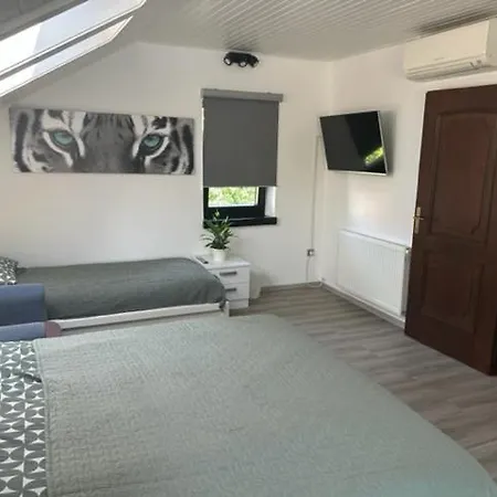 A&e Apartment